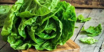 Miljoenen aan drugs gevonden bij grens tussen VS en Mexico