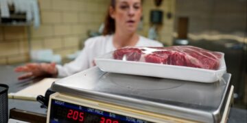 Mexico stopt import varkensvlees uit Spanje vanwege pestuitbraak