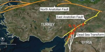Turkse korst splitst zich volgens wetenschappers