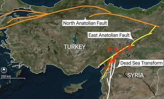 Turkse korst splitst zich volgens wetenschappers