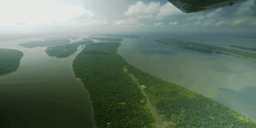 Brazil teleurgesteld in VK voor niet investeren in regenwoudfonds