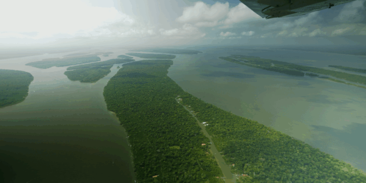 Brazil teleurgesteld in VK voor niet investeren in regenwoudfonds