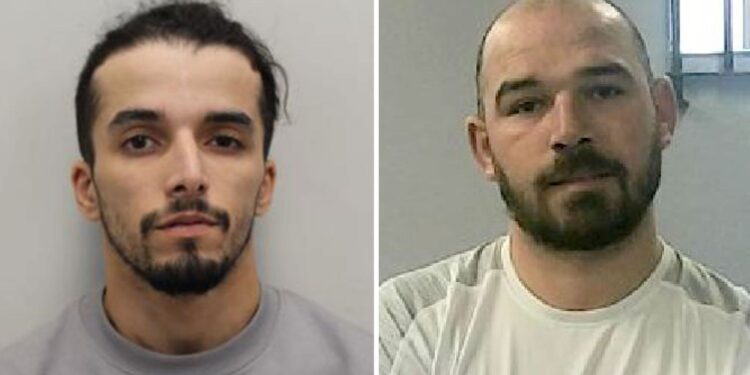 Waarschuwing politiechefs: misdaadgolf dreigt bij doorgang Labour plannen.