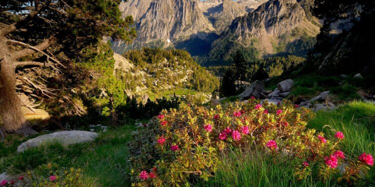 7 onvergetelijke manieren om verantwoord de Pyreneeën van Catalonië te ervaren