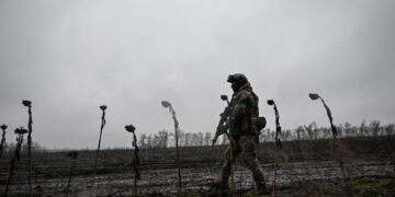 Peilingen in Oekraïne en kerstvrede: vooruitgang in vredesakkoord