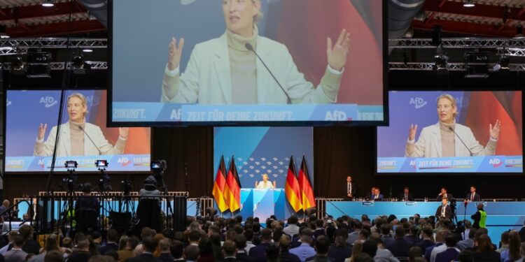 Zorgen over AfD-tolerantie ondermijnen Duitse veiligheidsdiensten
