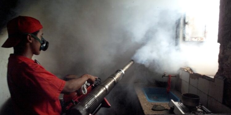 Dodelijke muggenepidemie teistert Cubaanse bevolking