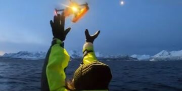 Geïdentificeerd: dodelijk virus bedreigt zeedieren