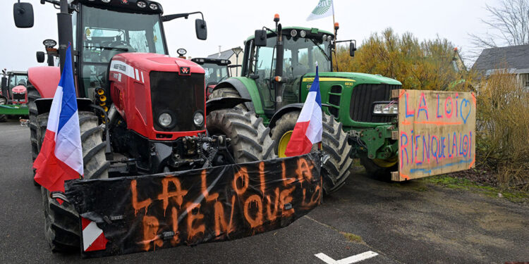 Boerenprotesten in Frankrijk tegen maatregelen veeziektebestrijding