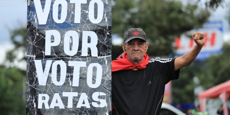 EU-waarnemers: ‘Opzettelijke verlamming’ bij tellen verkiezingsresultaten in Honduras