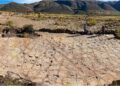 Dinosaurussporen gevonden aan oude kust van Bolivia