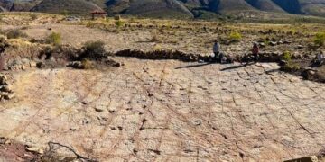 Dinosaurussporen gevonden aan oude kust van Bolivia