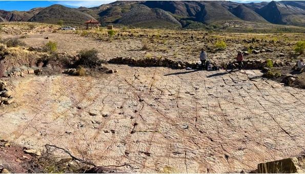 Dinosaurussporen gevonden aan oude kust van Bolivia