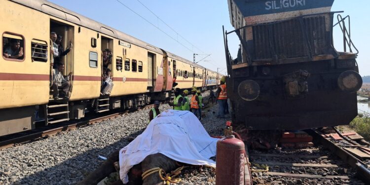 Treinbotsing met olifanten: 7 dieren dood.