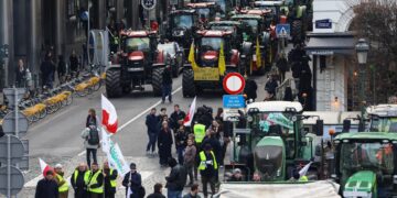 De impact van Mercosur op Europese boeren