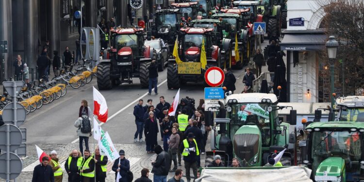 De impact van Mercosur op Europese boeren