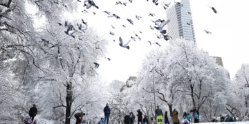 Sneeuwstorm legt New York plat: 1.600 vluchten geannuleerd en verkeerschaos