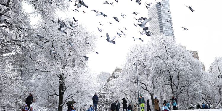 Sneeuwstorm legt New York plat: 1.600 vluchten geannuleerd en verkeerschaos