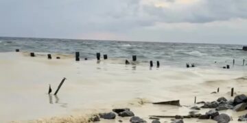 Vervuiling Zwarte Zee door zonnebloemolie na Russische aanvallen in Odessa