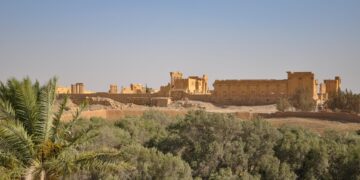 Amerikaanse soldaten en tolk gedood bij IS-aanval in Syrië’s Palmyra