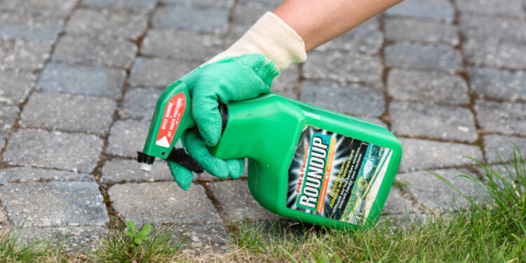 Glyfosaat: oude controverse herleeft met voorstel voor onbepaalde goedkeuring