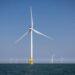 VS schort bouwvergunningen offshore windparken op om nationale veiligheid.