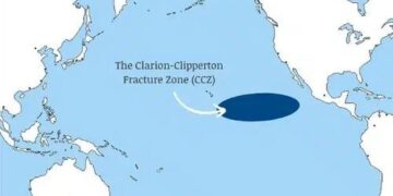 Honderden onbekende soorten ontdekt in Stille Oceaan