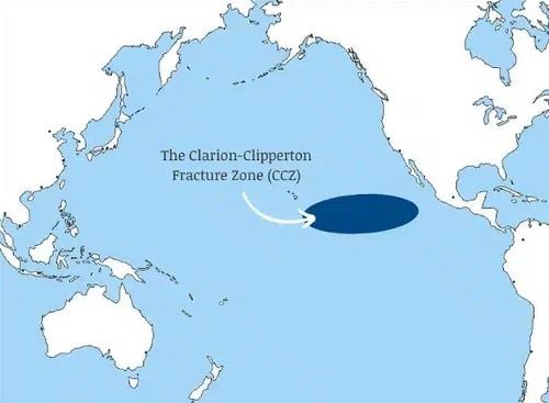Honderden onbekende soorten ontdekt in Stille Oceaan