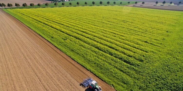 57.422 begunstigden ontvangen 7,65 miljoen euro voor belastingaangifte.