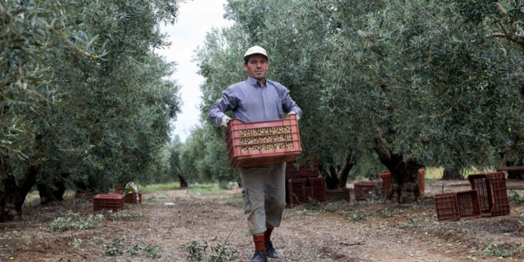 Griekse producten profiteren van nieuwe marktopening voor 300 miljoen consumenten