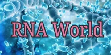 RNA: de bron van leven op aarde.