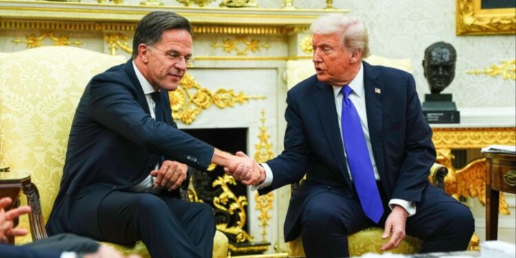 Rutte en Trump bespreken Groenland en Noordpoolgebied