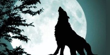 Magische start van 2026: volle maan en vallende sterren