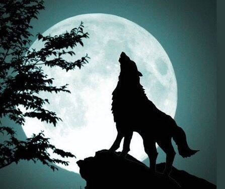 Magische start van 2026: volle maan en vallende sterren