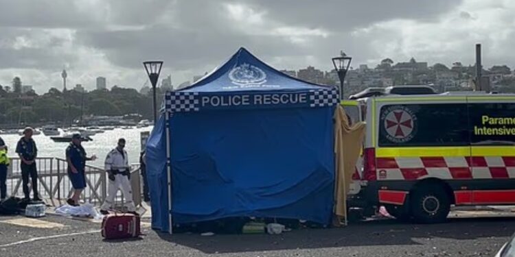 Aanval van haai op 13-jarige zwemmer eindigt in ziekenhuisopname