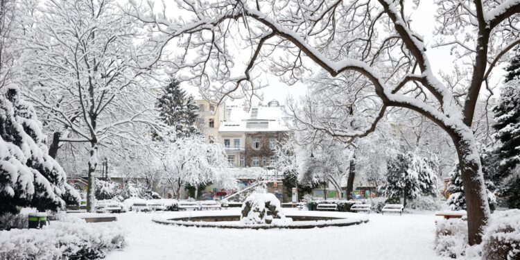5 doden door lawines in Oostenrijk