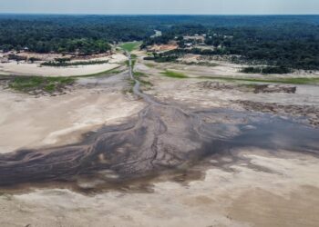 Ontbossing Amazonewoud daalt met 35,4% in Brazilië