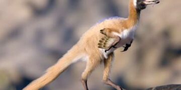 De Mini-dinosaurus in de meest multiculturele buurt ter wereld