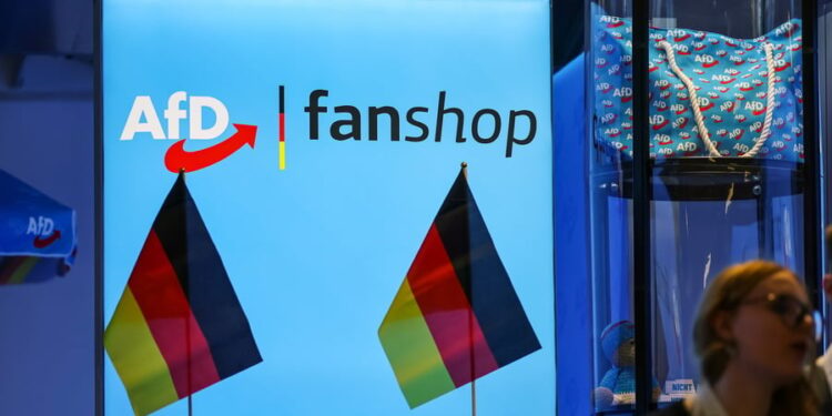 Hof verbiedt classificatie AfD als ‘extreemrechts’ voorlopig