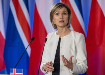 IJsland houdt EU-referendum in komende maanden, bevestigt premier