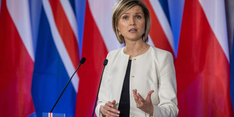 IJsland houdt EU-referendum in komende maanden, bevestigt premier