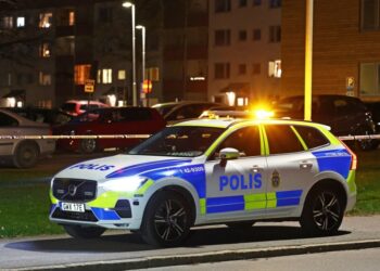 Zweedse man dwingt vrouw tot seks met 120 mannen