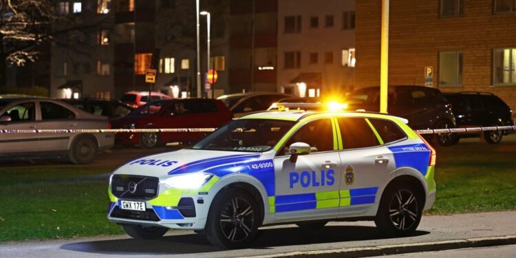 Zweedse man dwingt vrouw tot seks met 120 mannen