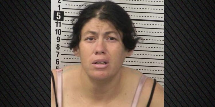 Moeder laat dode baby achter in chemische tank draagbaar toilet