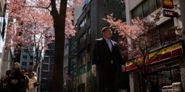 Bloesemtijd in Japan: drie steden genieten van de bloei