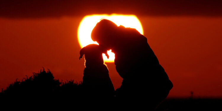 Al 15.800 jaar samen: de ontdekking van honden in Turkije