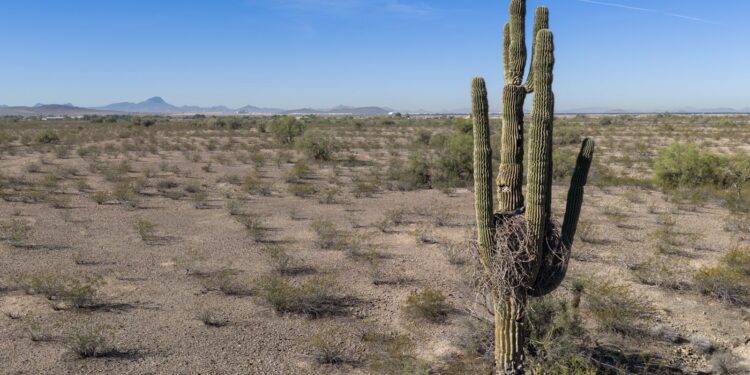Hittegolf zorgt voor warmste maartdag ooit gemeten in de VS