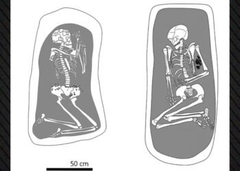 Archeologische vondst zet genderrollen uit stenen tijdperk op zijn kop