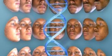 Evolutie van de mensheid door natuurlijke selectie