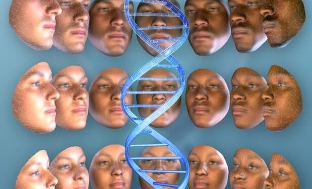 Evolutie van de mensheid door natuurlijke selectie